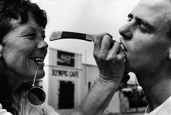 Between Dogs and Wolves: Growing Up in South Africa